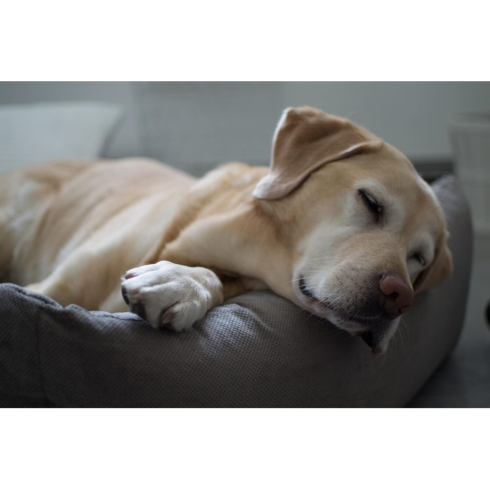 Лебон - ліжко для собак Гордон - Бежево-коричневе, м'яке, з товстою лежанкою, 3 розміри, можна прати (M)