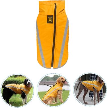 Теплий зимовий одяг для собак: куртка, плащ для прогулянок та відпочинку | iBasenice