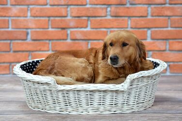 Гніздо для собак з лози e-wicker24 502-60, коричневе, 60x43x19 см (80x60x26 см, бежеве)