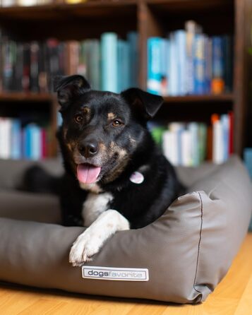 Крісло-ліжко для собак з віско-матрацом, миється - преміум якість, розмір L - 115 x 85 см (M: 100 x 75 см, мокко)