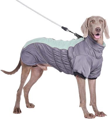 Зимові куртки для собак з натуральним хутром: теплі, відображають світло, для холодної погоди (XS, C)