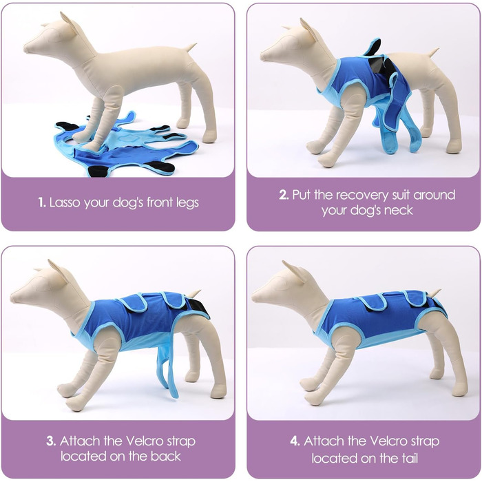 Комбінезон для собак після операції ASENKU: захист ран, анти-витік, альтернатива конусу (M, блакитний)