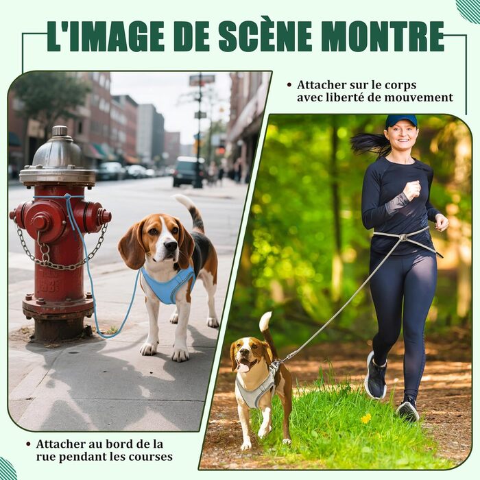 Нашийник для котів Qianruida з повідком, регульований, зручний, дихаючий, світловідбиваючий (Чорний XS)