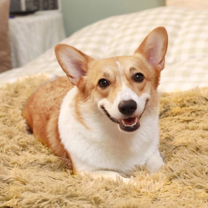 М'яка ковдра для собак та котів: флісова підстилка для тварин, 75 x 100 см (Бежева)