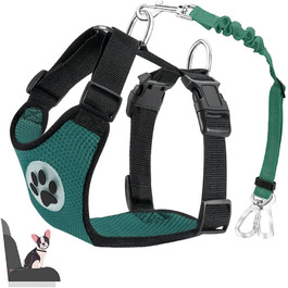 розмір: середній