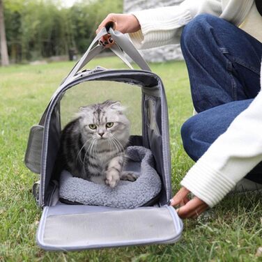 Транспортна переноска для собак та дрібних тварин під час перельотів. Сучасна переноска для собак, котів та інших дрібних тварин. Автоматична вентиляція.