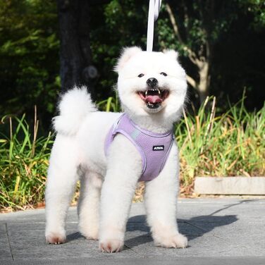 Нашийник та поводок для цуценят, комплект для прогулянок, нашийник-трансформер, м'який, дихаючий, аксесуари для домашніх тварин, світловідбиваючі смуги, для дуже маленьких собак та котів, XXXS (Обіх: 21.5 - 25.5 см)