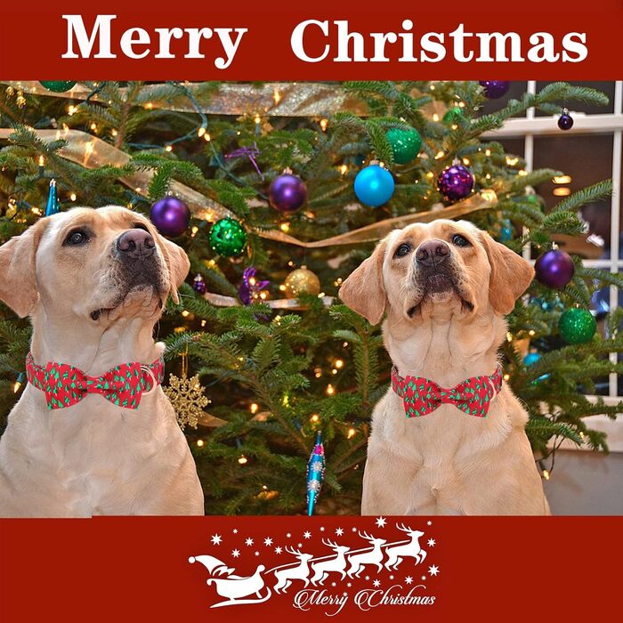 Ошатний собачий нашийник з метеликом Unique Style Paws, регульований, для собак та котів (L, ялинка)