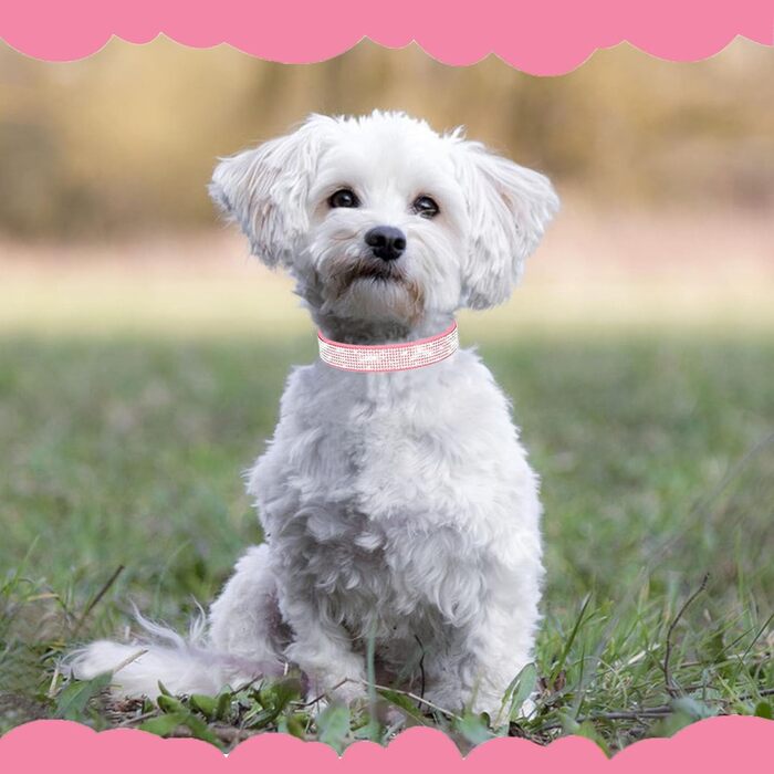 Нашийник для собак та котів Suiecuor, 4 шт., з блискітками, рожевий, S