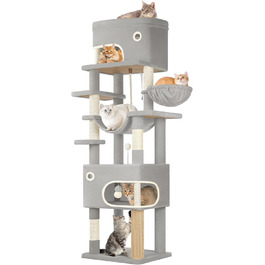 колір: синєгрань