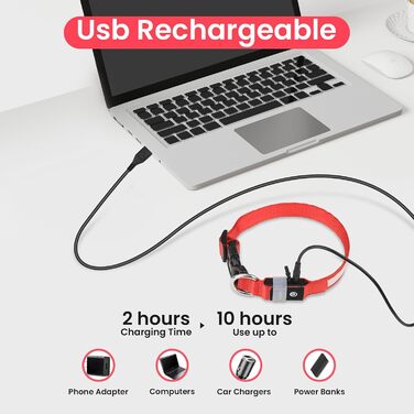 Світловідбиваючий нашийник для собак ASBRILL з LED-підсвічуванням, USB-C, водонепроникний, регульований, 3 режими світла, для собак малого, середнього та великого розміру (L, ЧЕРВОНИЙ)