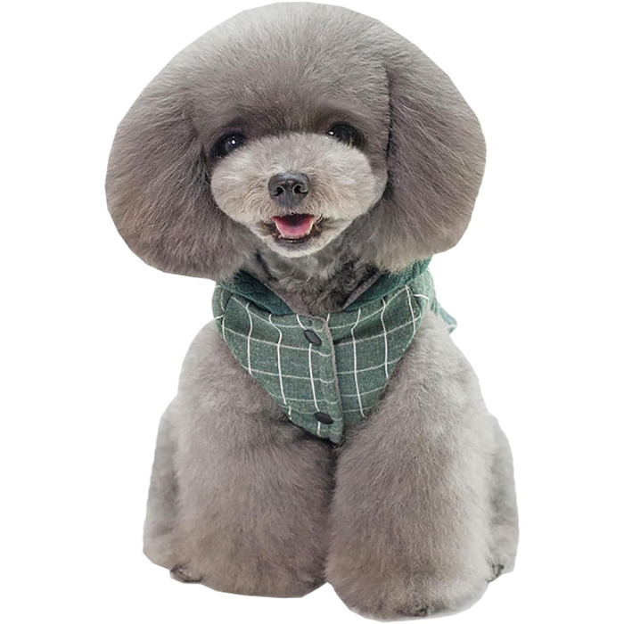 Теплий зимовий одяг для собак: куртка-худі для маленьких та середніх собак і котів (XL, зелений)