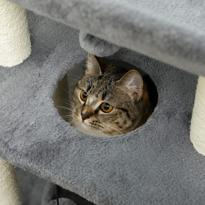 Котячий комплекс PawHut Cosy Chic, багатофункціональний, дерев'яний когтеточка, ігровий центр з лежаком, платформами, іграшкою, сірий, 60x30x76 см