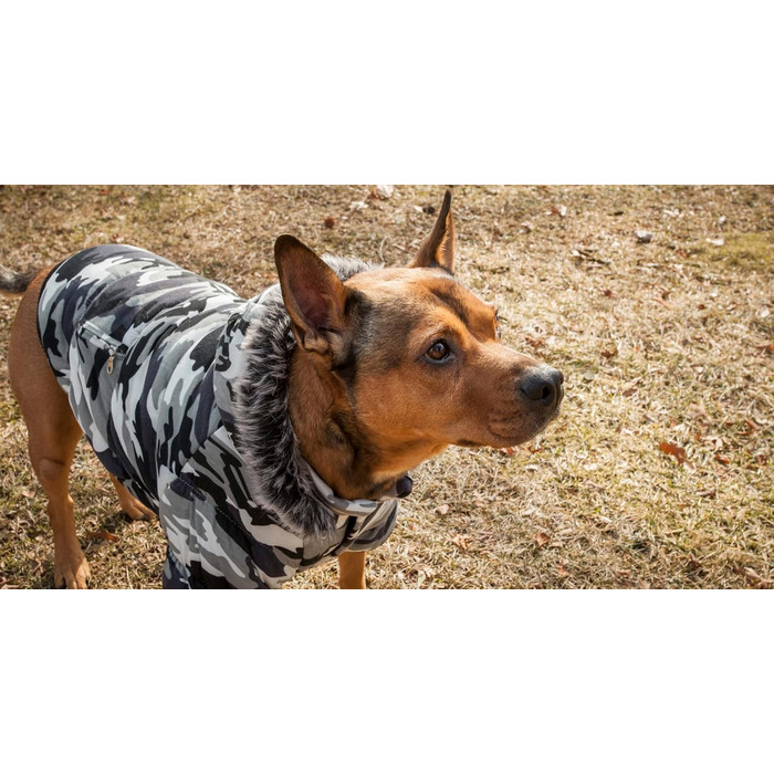 Зимовий собачий теплий халат Pet Life з металу та відстібаною капюшоном, з блискавкою. Собача куртка з ізоляцією 3M Thinsulate, зігріваюча технологія. Одяг для собак, малі породи (Зимовий камуфляж, X-Small)