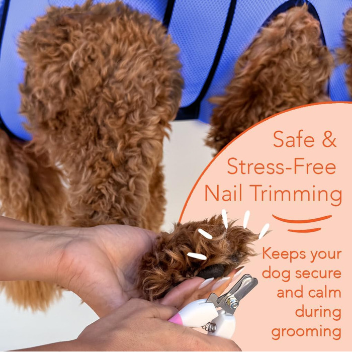 ГамІнВей Гамак для догляду за тваринами - блакитний для великих собак, гамак-сумка для тварин, обтискний ремінь для догляду за кігтями та вухами/догляду за очима (блакитний)