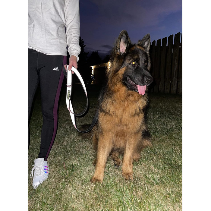 Відбивний нашийник Cycle Dog із металевою пряжкою, розмір M (30,5–53,3 см), 100% світловідбивний, для собак, міцний, з відкривачкою для пляшок, не потребує заряджання, для безпеки у темряві