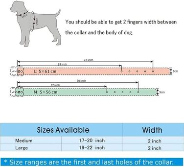 Стильний шкіряний нашийник для собак Haoyueer з нітиками, розмір M, L, колір золотисто-коричневий