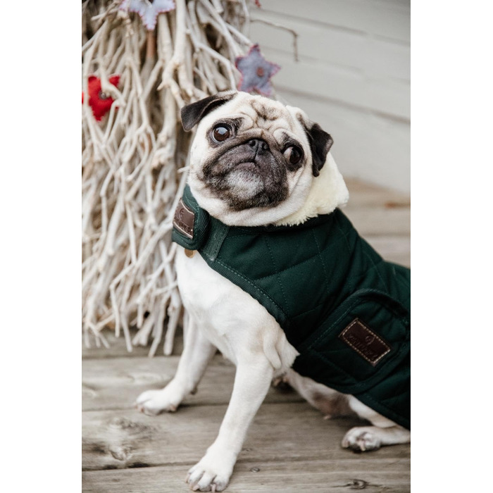 Зимовий теплий одяг для собак Kentucky Hundemantel, темно-зелений, XL, 60-70 см