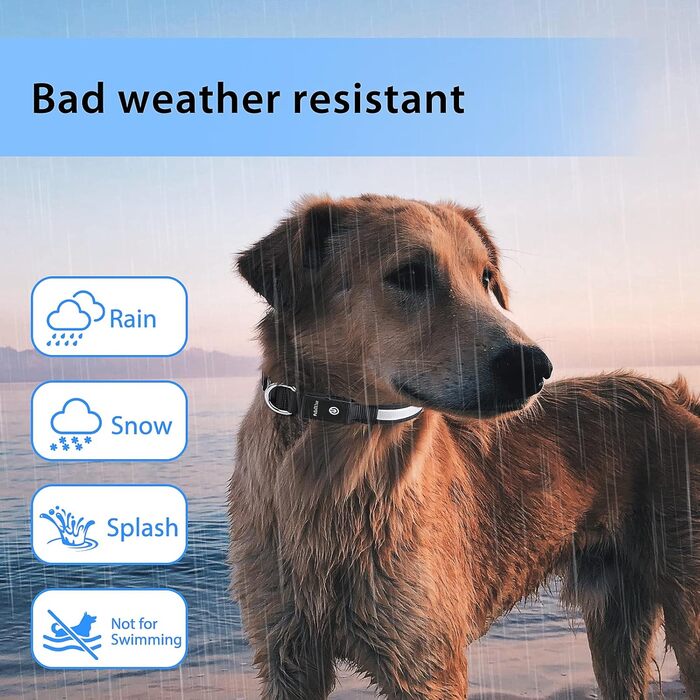 LED нашийник для собак з підсвічуванням, вологостійкий, 7 кольорів, регульований, чорний, 8 режимів, розмір M (38-50 см)