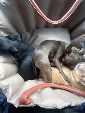 Автомобільний лежак для собак у вигляді накидки на сидіння, 55x42x42 см, темно-хакі