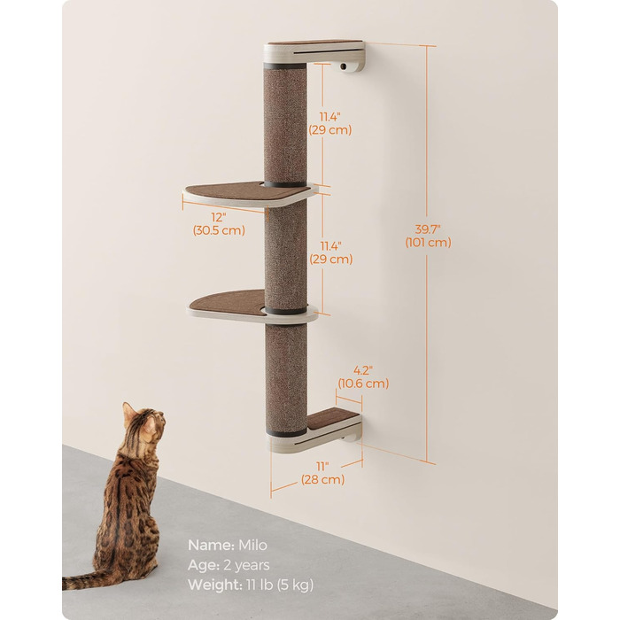 Feandrea Clickat Collection - Драбина-подряпування для котів, 100 см, XL, з 2 стійками, для стіни, розширювана