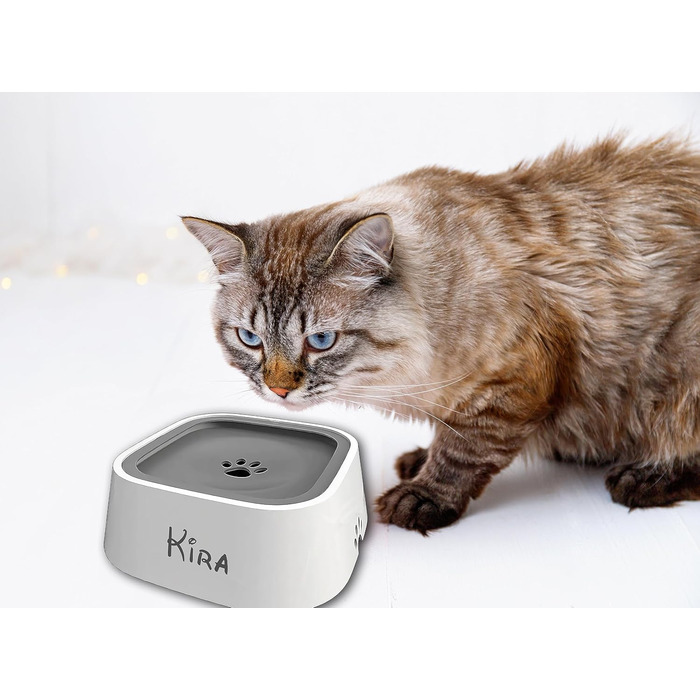 Персоналізований миска для собак та котів з іменем, не протікає, не ковзає, для подорожей, з гравіюванням