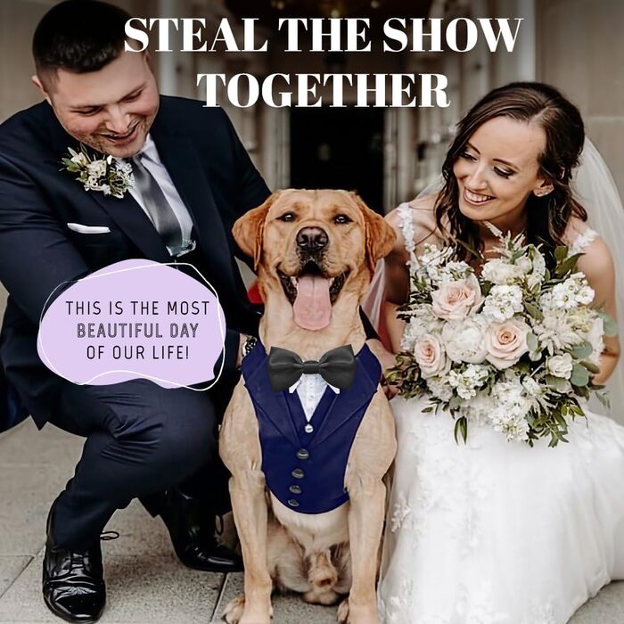 Елегантний собачий смокінг для свят: весілля, день народження, Хелловін, Косплей, Різдво. Комплект з краваткою для собак середніх та великих розмірів (L, обхват грудей 60-88 см). Синій смокінг + чорна краватка