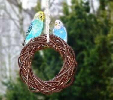 Два смачні дерев'яні кільця з лози для папуг, хвилястих та корел; плетіння з лози. Іграшка для птахів у клітку, вольєр. Ігровий майданчик для птахів для підвішування. 2 дерев'яні кільця 2.0