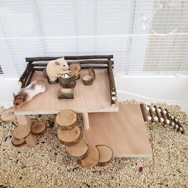 Іграшки для хом'яків, морських свинок та кроликів: аксесуари та розваги для гри