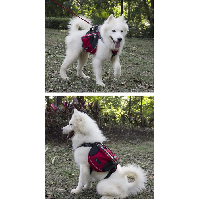 Рюкзак для собак середніх та великих порід, сумка-рюкзак для подорожей, прогулянок та тренувань, водонепроникний, з регульованою шлейкою та ручкою (зелений, L, 28-40 кг)