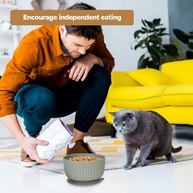 Набір мисок для котів та маленьких собак з силікону (3 шт) з кришками, неслизькі, для мікрохвильовки та посудомийної машини, смугастий дизайн