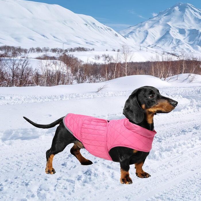 Водонепроникна зимова куртка для такс Babepet з флісовою підкладкою, світловідбиваючий пуловер з отвором для шлейки, розмір L (M(спинка:36см), рожевий)