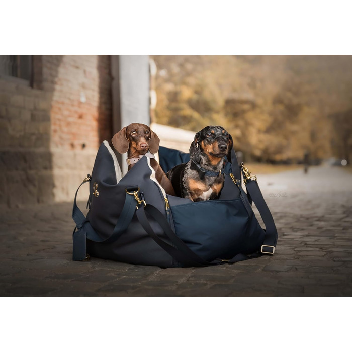 Еліанн | Дизайнерський автокрісло для собак | Навігатор, синій | Міцне | Дизайнерський бренд | Для собак маленьких та середніх порід | Підвищене автокрісло для собак