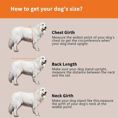 Світшот для собак Snik-S: жилет для плавання з регульованим ремінцем, для собак з короткою мордою (Мопс, Бульдог, Бультер'єр, Чихуахуа), помаранчевий, Medium