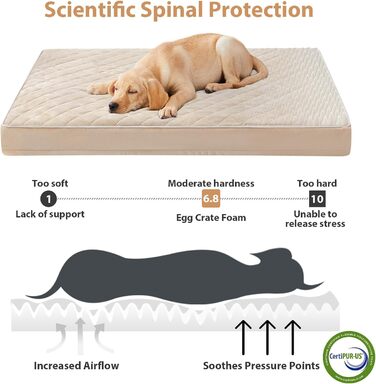 Ортопедичне собаче ліжко WNPETHOME XL, вологостійке, велике, знімний та пральний чохол, антиковзаюча підкладка, матеріал Eierkisten-Schaumstoff, 104x69x10 см (Бежевий)
