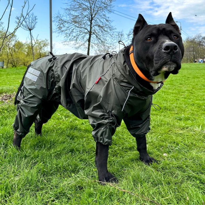 Стильна куртка Your Stylish Hunter, зелена, XXXS