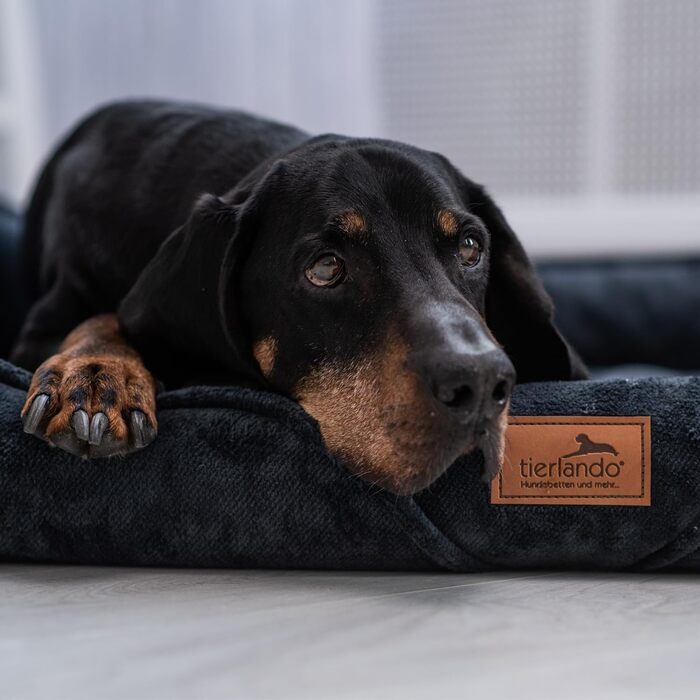 Ортопедичне собаче ліжко Tierlando® Tyson Teddy – м'яке собаче ліжко-софа з знімним чохлом, виймаюча віскоеластична матрацна подушка та ергономічний вхід. Розмір: 130x100 см, колір: кремовий