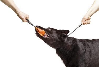 Нашийник для собак Dingo Gear, ручної роботи, міцний шнур, 2 обмежувачі, водонепроникний, для K9-тренувань, IGP, агітація, кусання, слухняність, чорний, L (S04049)