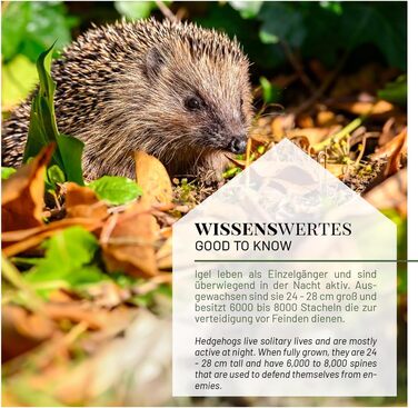 Набір годівниця та поїлка для їжаків WILDLIFE HOME, 2 шт, миска для корму та води, стійка, для їжачого будиночка, погодостійка