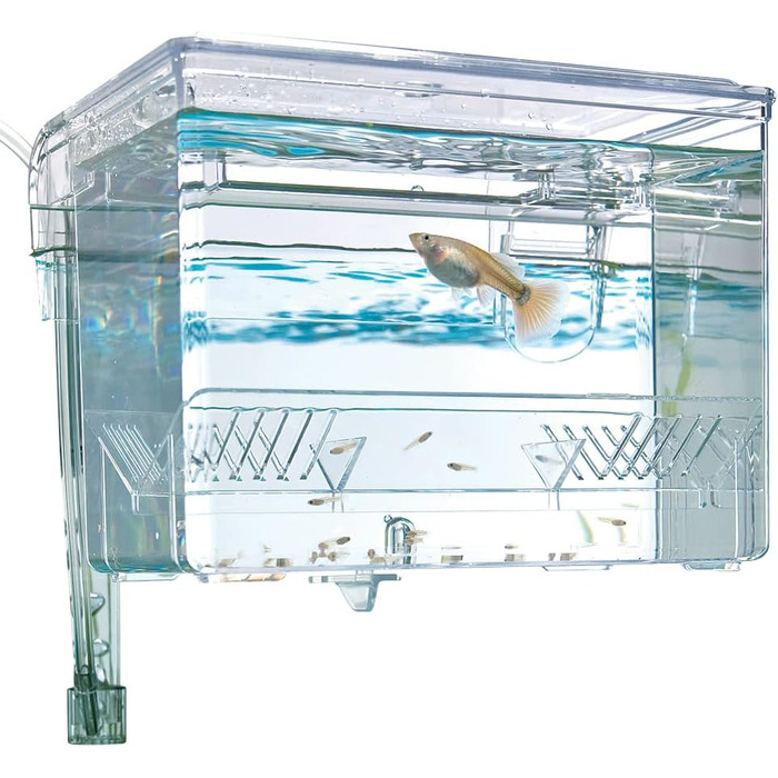 Акваріум Fluval Hang-On M для розведення риби, 1.2 л, 1 шт.