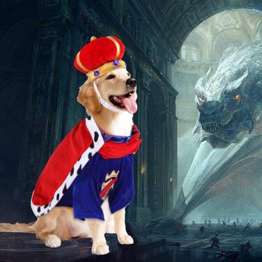 Костюм для собаки 