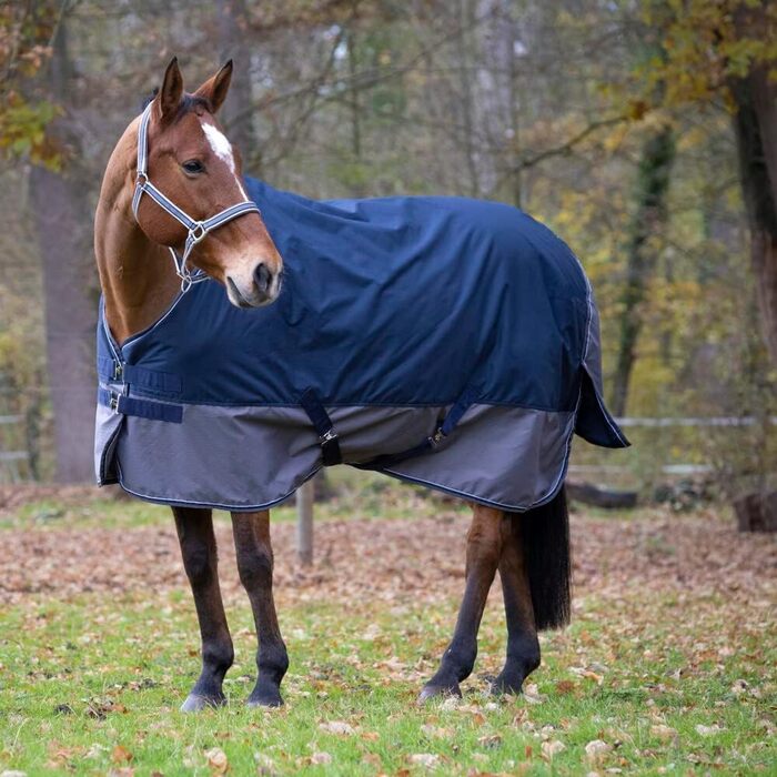 Зимова попона для коня Equi-Theme 50г, 600D TYREX, синя/сіра, 125 см