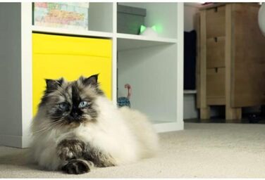 Sure Petcare Hub: сумісний з SureFlap та SureFeed Connect, Felaqua Connect, з додатком, білий