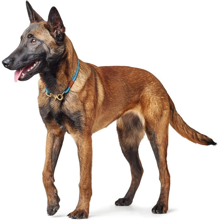 Нашийник для собак HUNTER OSS, мотузковий, з карабіном, морський стиль, L-XL (петроль)