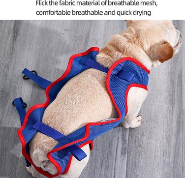 Набір для догляду за собаками та котами WEEVDRIE: шлейка-матрац, шлейка для грумінгу, петля для стрижки нігтів