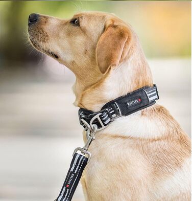 Вольтерс Ошийник Активний Про, розмір 45-52 см, колір шампань/чорний