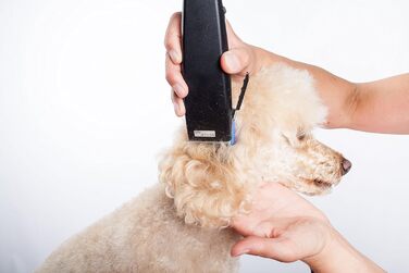 Професійна машинка для стрижки тварин Moser Rex 1230 для середніх собак (стара версія)