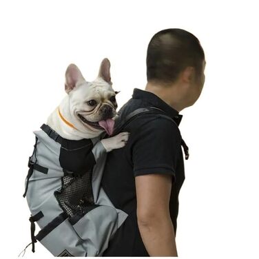Рюкзак для собак Bis, сумка для маленьких собак, рюкзак-переноска для тварин, подорожі, Outdoor, вентиляція, дихаюча сітка, велосипед, мотоцикл, спорт (Сірий, S)