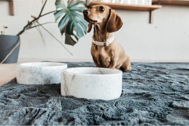 Миска для собак Kentucky Dogwear Marble, велика, біла