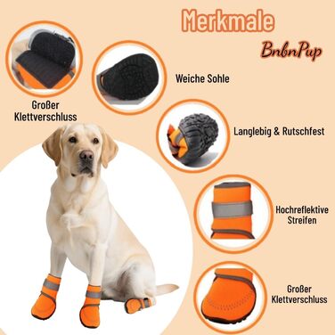 Чоботи для собак: захист лап, антиковзка підошва, для активного відпочинку на природі